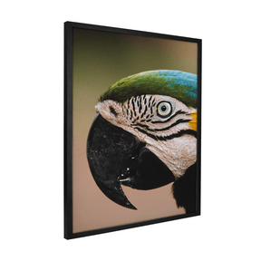 Quadro Decorativo Olhar do Brasil | Rodolfo Paz - Meu Rodapé