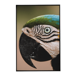Quadro Decorativo Olhar do Brasil | Rodolfo Paz - Meu Rodapé