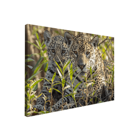 Quadro Decorativo Onça e Filhote 1 | Sâmia Munaretti & Marcelo Baldin - Meu Rodapé