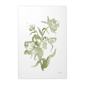 Quadro Decorativo Orquídea 04 | Thaís Mota - Meu Rodapé