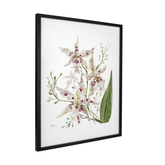 Quadro Decorativo Orquídea Pintada Branca | Thaís Mota - Meu Rodapé