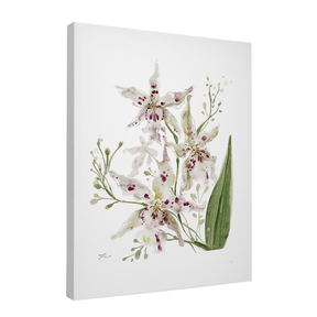 Quadro Decorativo Orquídea Pintada Branca | Thaís Mota - Meu Rodapé