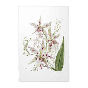 Quadro Decorativo Orquídea Pintada Branca | Thaís Mota - Meu Rodapé