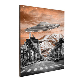 Quadro Decorativo Ovni | Gabriela Cidade Borges - Meu Rodapé