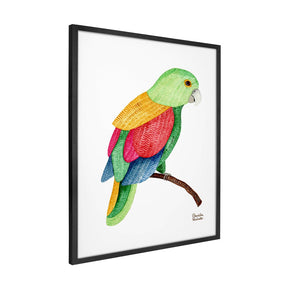 Quadro Decorativo Papagaio Bordado | Camila Pasinato - Meu Rodapé