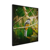 Quadro Decorativo Pássaro 1 | Albori Ribeiro - Meu Rodapé