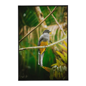 Quadro Decorativo Pássaro 1 | Albori Ribeiro - Meu Rodapé