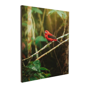 Quadro Decorativo Pássaro 2 | Albori Ribeiro - Meu Rodapé