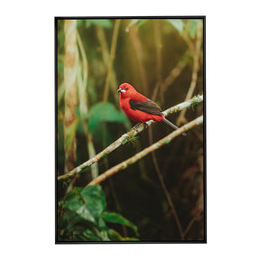 Quadro Decorativo Pássaro 2 | Albori Ribeiro - Meu Rodapé