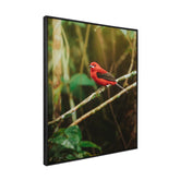 Quadro Decorativo Pássaro 2 | Albori Ribeiro - Meu Rodapé