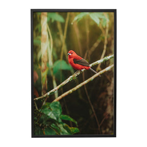 Quadro Decorativo Pássaro 2 | Albori Ribeiro - Meu Rodapé