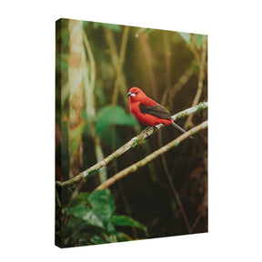 Quadro Decorativo Pássaro 2 | Albori Ribeiro - Meu Rodapé