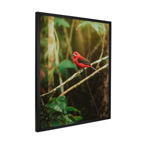 Quadro Decorativo Pássaro 2 | Albori Ribeiro - Meu Rodapé