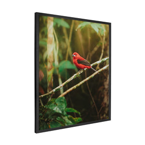 Quadro Decorativo Pássaro 2 | Albori Ribeiro - Meu Rodapé