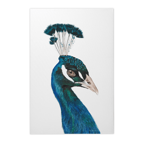 Quadro Decorativo Pavão | Aline Gomes - Meu Rodapé