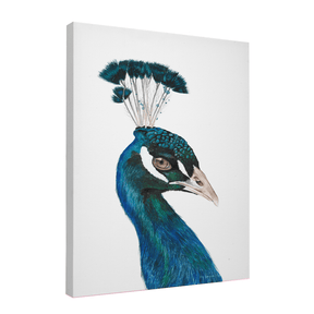 Quadro Decorativo Pavão | Aline Gomes - Meu Rodapé