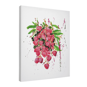 Quadro Decorativo Pitaia | Paulo Ferrari - Meu Rodapé