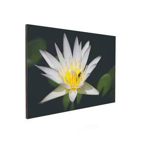 Quadro Decorativo Pólen | Julio Bazanella - Meu Rodapé