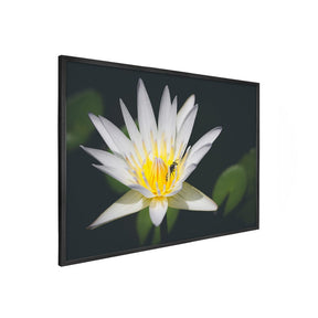 Quadro Decorativo Pólen | Julio Bazanella - Meu Rodapé