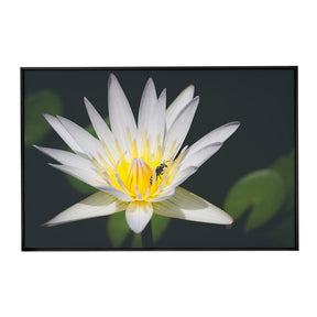 Quadro Decorativo Pólen | Julio Bazanella - Meu Rodapé