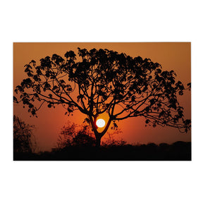 Quadro Decorativo Pôr do Sol 1 | Sâmia Munaretti & Marcelo Baldin - Meu Rodapé