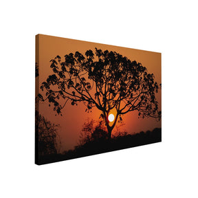 Quadro Decorativo Pôr do Sol 1 | Sâmia Munaretti & Marcelo Baldin - Meu Rodapé