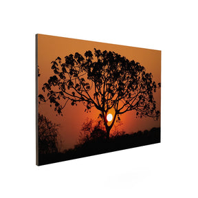 Quadro Decorativo Pôr do Sol 1 | Sâmia Munaretti & Marcelo Baldin - Meu Rodapé