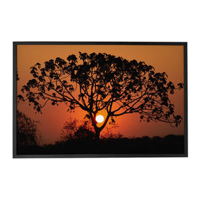 Quadro Decorativo Pôr do Sol 1 | Sâmia Munaretti & Marcelo Baldin - Meu Rodapé