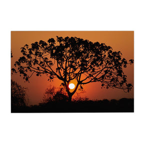 Quadro Decorativo Pôr do Sol 1 | Sâmia Munaretti & Marcelo Baldin - Meu Rodapé