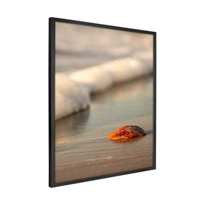 Quadro Decorativo Praia Concha | Sâmia Munaretti & Marcelo Baldin - Meu Rodapé