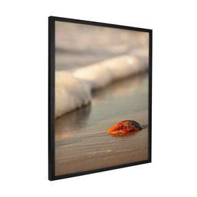 Quadro Decorativo Praia Concha | Sâmia Munaretti & Marcelo Baldin - Meu Rodapé