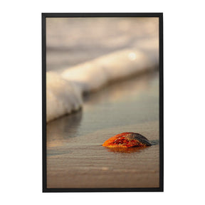 Quadro Decorativo Praia Concha | Sâmia Munaretti & Marcelo Baldin - Meu Rodapé