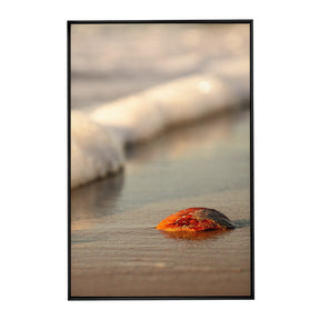 Quadro Decorativo Praia Concha | Sâmia Munaretti & Marcelo Baldin - Meu Rodapé