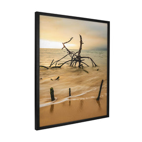 Quadro Decorativo Praia Galhos | Sâmia Munaretti & Marcelo Baldin - Meu Rodapé