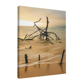 Quadro Decorativo Praia Galhos | Sâmia Munaretti & Marcelo Baldin - Meu Rodapé