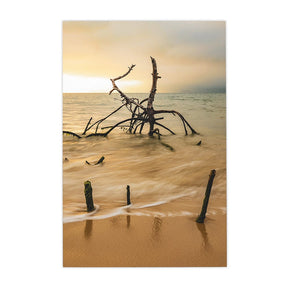 Quadro Decorativo Praia Galhos | Sâmia Munaretti & Marcelo Baldin - Meu Rodapé