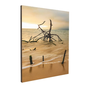 Quadro Decorativo Praia Galhos | Sâmia Munaretti & Marcelo Baldin - Meu Rodapé