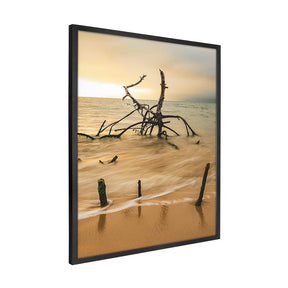 Quadro Decorativo Praia Galhos | Sâmia Munaretti & Marcelo Baldin - Meu Rodapé