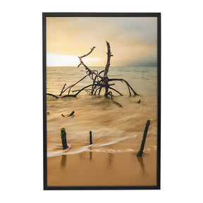 Quadro Decorativo Praia Galhos | Sâmia Munaretti & Marcelo Baldin - Meu Rodapé