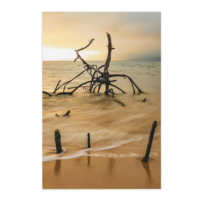 Quadro Decorativo Praia Galhos | Sâmia Munaretti & Marcelo Baldin - Meu Rodapé