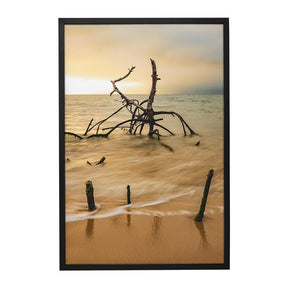 Quadro Decorativo Praia Galhos | Sâmia Munaretti & Marcelo Baldin - Meu Rodapé