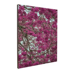 Quadro Decorativo Primavera | Albori Ribeiro - Meu Rodapé