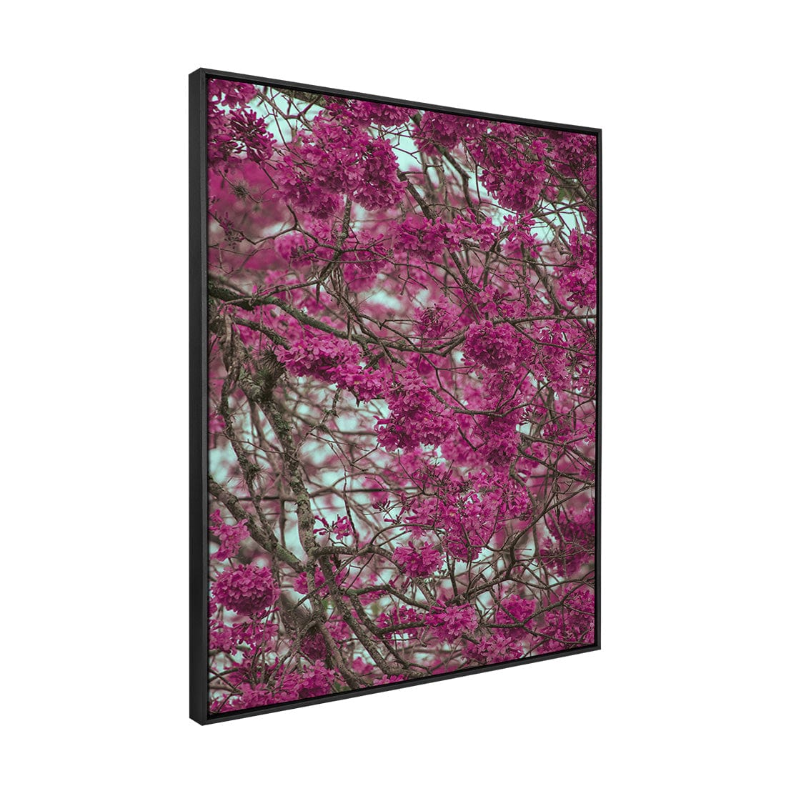 Quadro Decorativo Primavera | Albori Ribeiro - Meu Rodapé