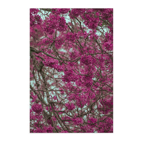 Quadro Decorativo Primavera | Albori Ribeiro - Meu Rodapé