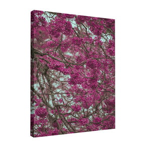 Quadro Decorativo Primavera | Albori Ribeiro - Meu Rodapé