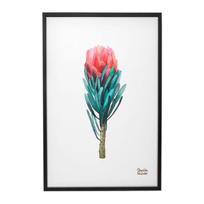 Quadro Decorativo Protea | Camila Pasinato - Meu Rodapé
