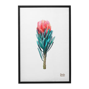 Quadro Decorativo Protea | Camila Pasinato - Meu Rodapé