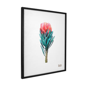 Quadro Decorativo Protea | Camila Pasinato - Meu Rodapé