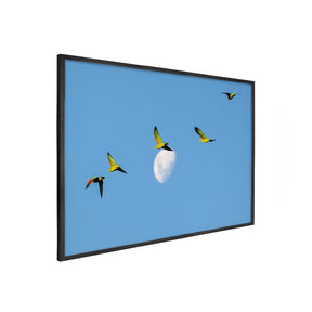 Quadro Decorativo Revoada Papagaio Charão | Sâmia Munaretti & Marcelo Baldin - Meu Rodapé