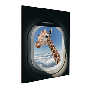 Quadro Decorativo Safari | Alimari - Meu Rodapé